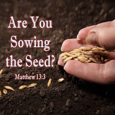 Are You Sowing the Seed? – Crosstown Church of Christ